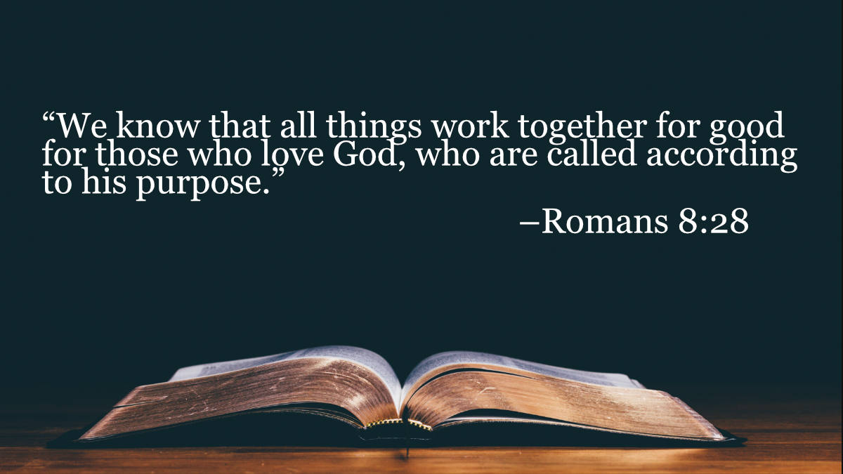 Your Daily Bible Verses — Romans 8:28 — Integrated Catholic Life™